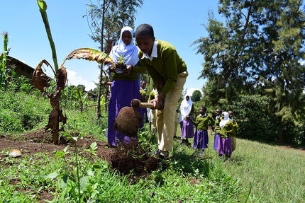 Planta 500 Breathe Gift Trees